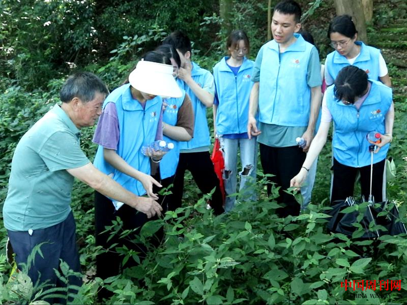 17圖為藥農(nóng)向?qū)嵺`團(tuán)成員介紹中草藥的功效以及用法，加深對(duì)中草藥知識(shí)的了解。.png